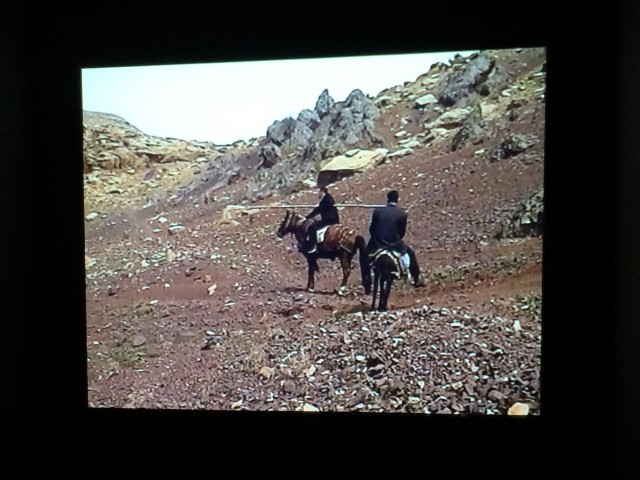 Erkan Özgen playing Don Quixote on his way to Tate modern
